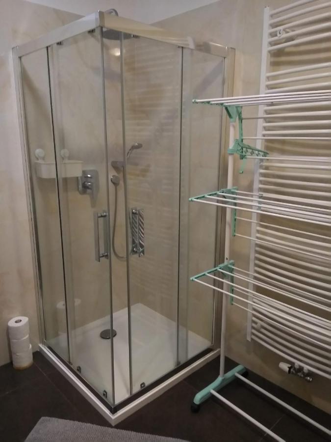 Apartman Rezidence Moser-Free Parking Garage Karlovy Vary Bagian luar foto